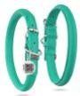 Ultra Soft Rolled Leather Dog Collar for Small Medium Dogs Soft Padded Dog Collars Male and Female Dog Collar 13-16 inch Neck Mint Color
