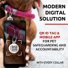 Long Lasting Leather Dog Collar for Medium Dogs Adjustable Collar with Durable Buckle D Ring 11-14 inch Neck x 3/5 inch Wide Pink Col