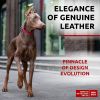 Long Lasting Leather Dog Collar for Medium Dogs Adjustable Collar with Durable Buckle D Ring 12-15 inch Neck x 4/5 inch Wide Pink Col